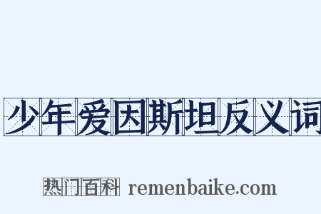 少年爱因斯坦反义词是什么意思的图片